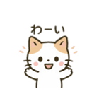 茶色と白の猫ちゃん日本語バージョン（個別スタンプ：6）