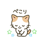 茶色と白の猫ちゃん日本語バージョン（個別スタンプ：7）