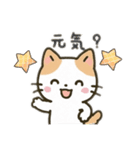 茶色と白の猫ちゃん日本語バージョン（個別スタンプ：9）