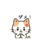 茶色と白の猫ちゃん日本語バージョン（個別スタンプ：12）