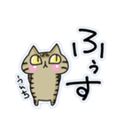 宮古島方言(みゃーくふつ)スタンプ（個別スタンプ：13）