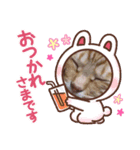 My Lovely Cat’s（個別スタンプ：3）