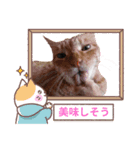 My Lovely Cat’s（個別スタンプ：7）