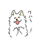 脳直！サモエド！（個別スタンプ：3）