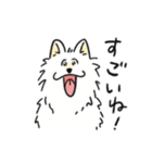 脳直！サモエド！（個別スタンプ：5）