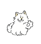 脳直！サモエド！（個別スタンプ：8）