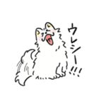 脳直！サモエド！（個別スタンプ：9）