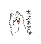 脳直！サモエド！（個別スタンプ：10）