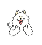脳直！サモエド！（個別スタンプ：12）