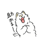 脳直！サモエド！（個別スタンプ：13）