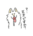 脳直！サモエド！（個別スタンプ：14）