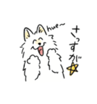 脳直！サモエド！（個別スタンプ：22）