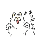 脳直！サモエド！（個別スタンプ：27）