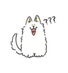 脳直！サモエド！（個別スタンプ：40）