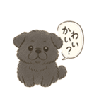 もふっとふたり。犬（個別スタンプ：6）