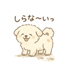 もふっとふたり。犬（個別スタンプ：14）