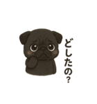 もふっとふたり。犬（個別スタンプ：17）