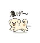もふっとふたり。犬（個別スタンプ：24）