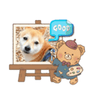 豆柴（柴犬）ゆず（個別スタンプ：14）