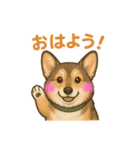 コーギーゆるふわあいさつ（個別スタンプ：1）