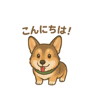 コーギーゆるふわあいさつ（個別スタンプ：2）