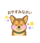 コーギーゆるふわあいさつ（個別スタンプ：8）