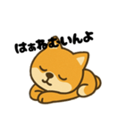 広島弁の柴犬1（個別スタンプ：1）