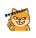 広島弁の柴犬1（個別スタンプ：5）