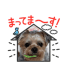 つちやさんのスタンプオールスターズ！（個別スタンプ：23）