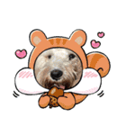 つちやさんのスタンプオールスターズ！（個別スタンプ：30）