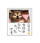 つちやさんのスタンプオールスターズ！（個別スタンプ：40）