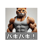 日常で使える筋肉ムキムキ猫のスタンプ（個別スタンプ：2）