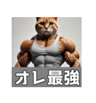 日常で使える筋肉ムキムキ猫のスタンプ（個別スタンプ：3）