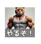 日常で使える筋肉ムキムキ猫のスタンプ（個別スタンプ：4）