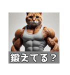 日常で使える筋肉ムキムキ猫のスタンプ（個別スタンプ：6）