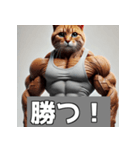 日常で使える筋肉ムキムキ猫のスタンプ（個別スタンプ：7）