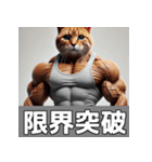 日常で使える筋肉ムキムキ猫のスタンプ（個別スタンプ：8）