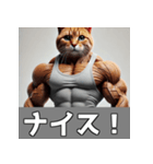 日常で使える筋肉ムキムキ猫のスタンプ（個別スタンプ：10）