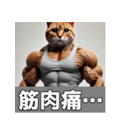 日常で使える筋肉ムキムキ猫のスタンプ（個別スタンプ：11）