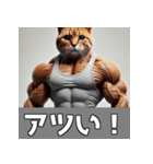 日常で使える筋肉ムキムキ猫のスタンプ（個別スタンプ：13）