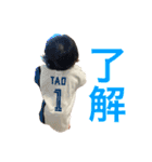 泰央の日常③（個別スタンプ：3）