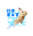 うさぎのめろくん（個別スタンプ：11）