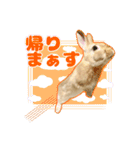 うさぎのめろくん（個別スタンプ：12）