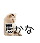 ごまーず（個別スタンプ：23）