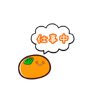 連絡用みかん（個別スタンプ：4）