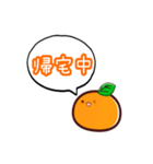 連絡用みかん（個別スタンプ：6）