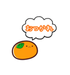 連絡用みかん（個別スタンプ：16）