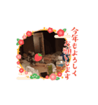 ふぁみりーめもりある（個別スタンプ：8）