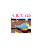 全部ありがとう多国黄色青色セキセイインコ（個別スタンプ：6）