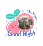 子猫のポノくんLINEスタンプ（個別スタンプ：7）